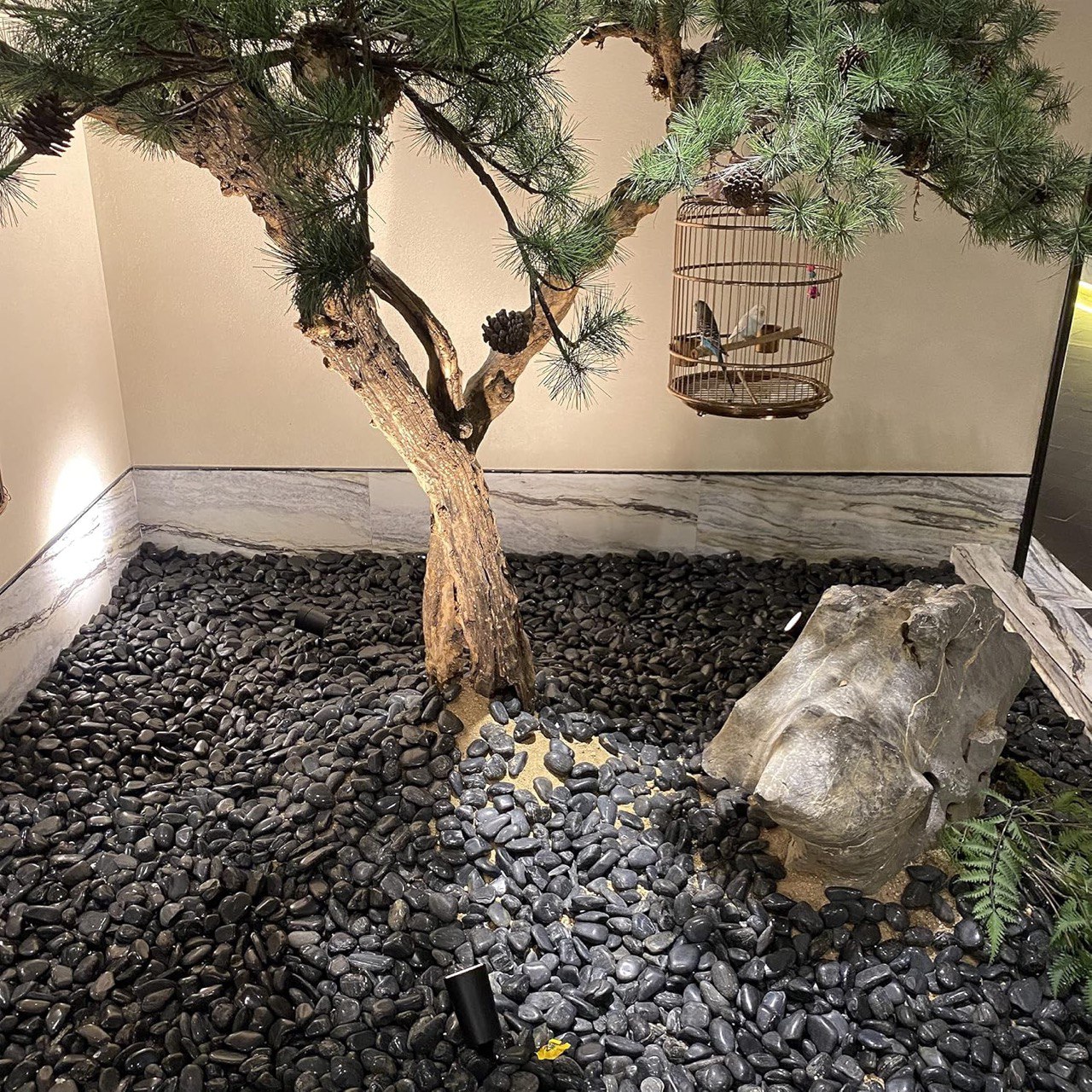 photo 2025 09 18 10 07 52